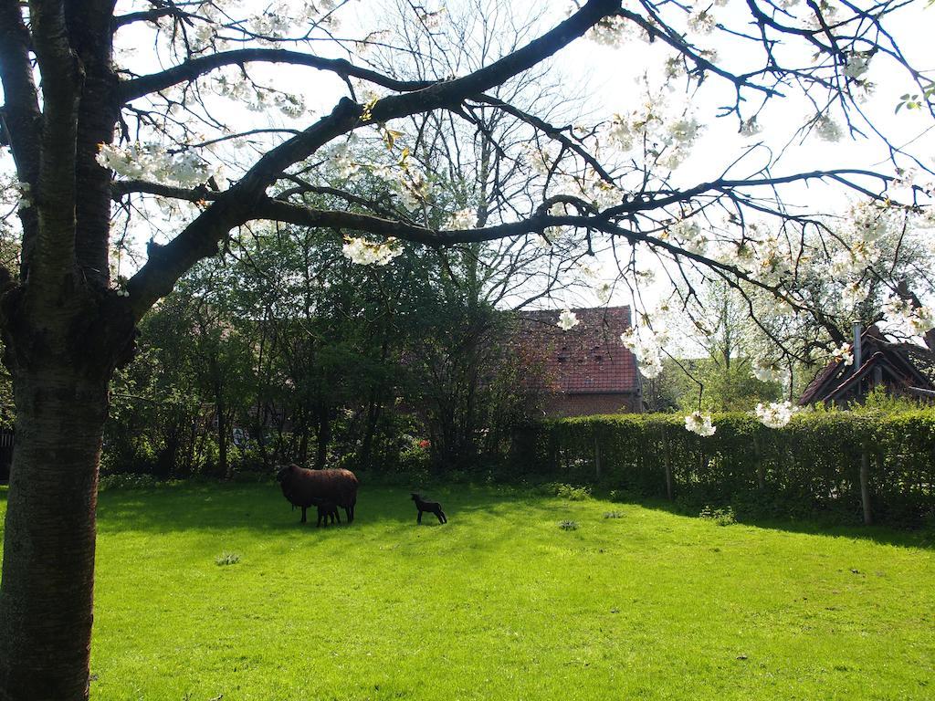 Grote Goesting Holiday House Wevelgem Exterior foto